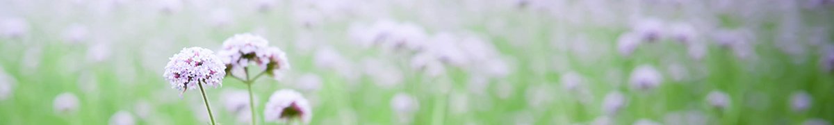 211815 相关阅读
